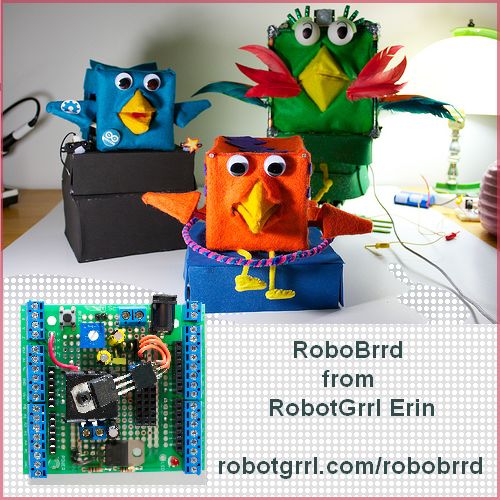 RoboBrrd from RobotGrrl Erin