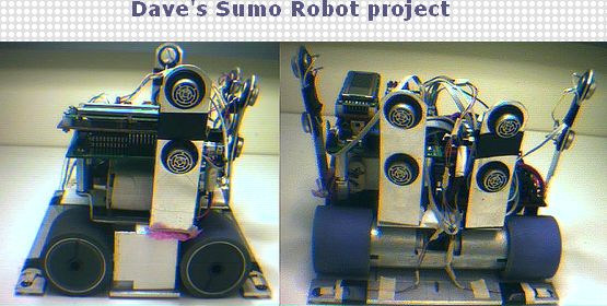 sumo-robot-dave.jpg